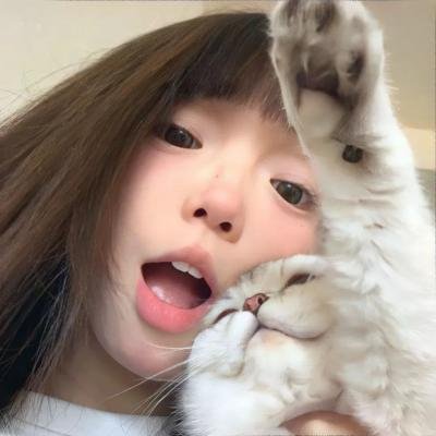 街头女斗士2:全球日志